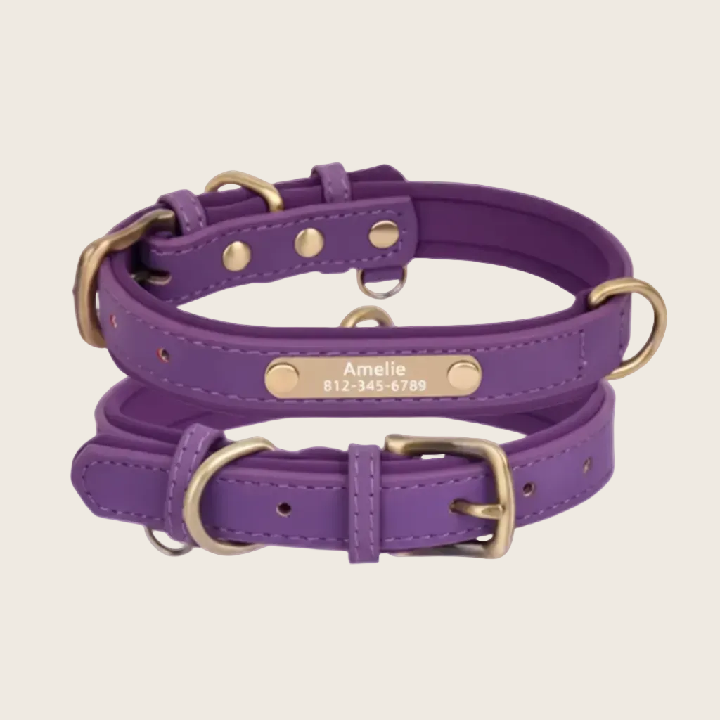Personalised Dog Collar - Engraved Nameplate