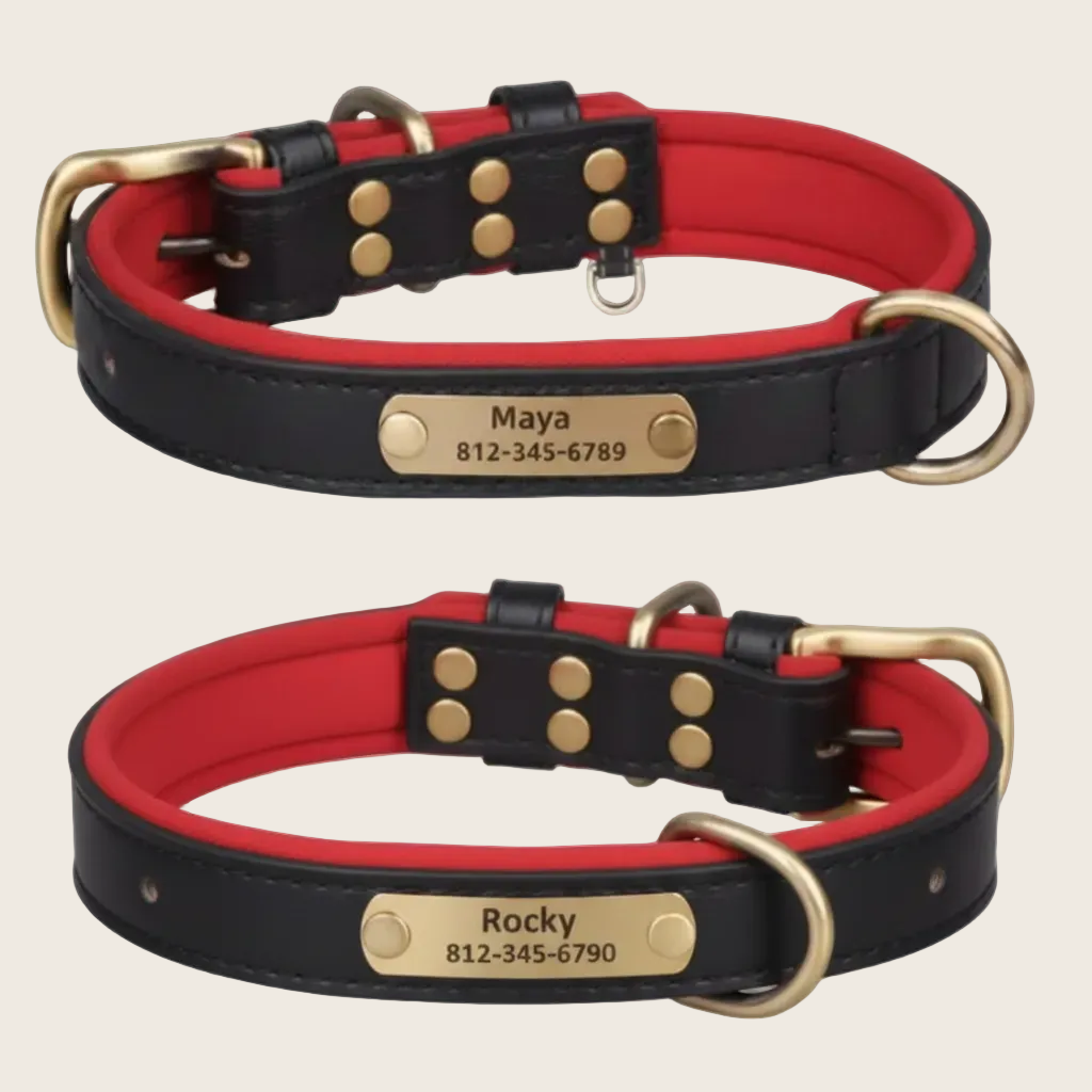 Personalised Dog Collar - Engraved Nameplate