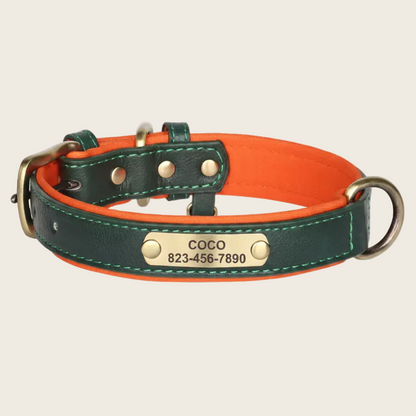 Personalised Dog Collar - Engraved Nameplate