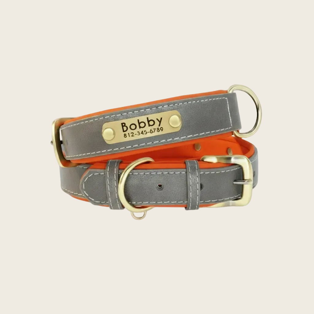 Personalised Dog Collar - Engraved Nameplate