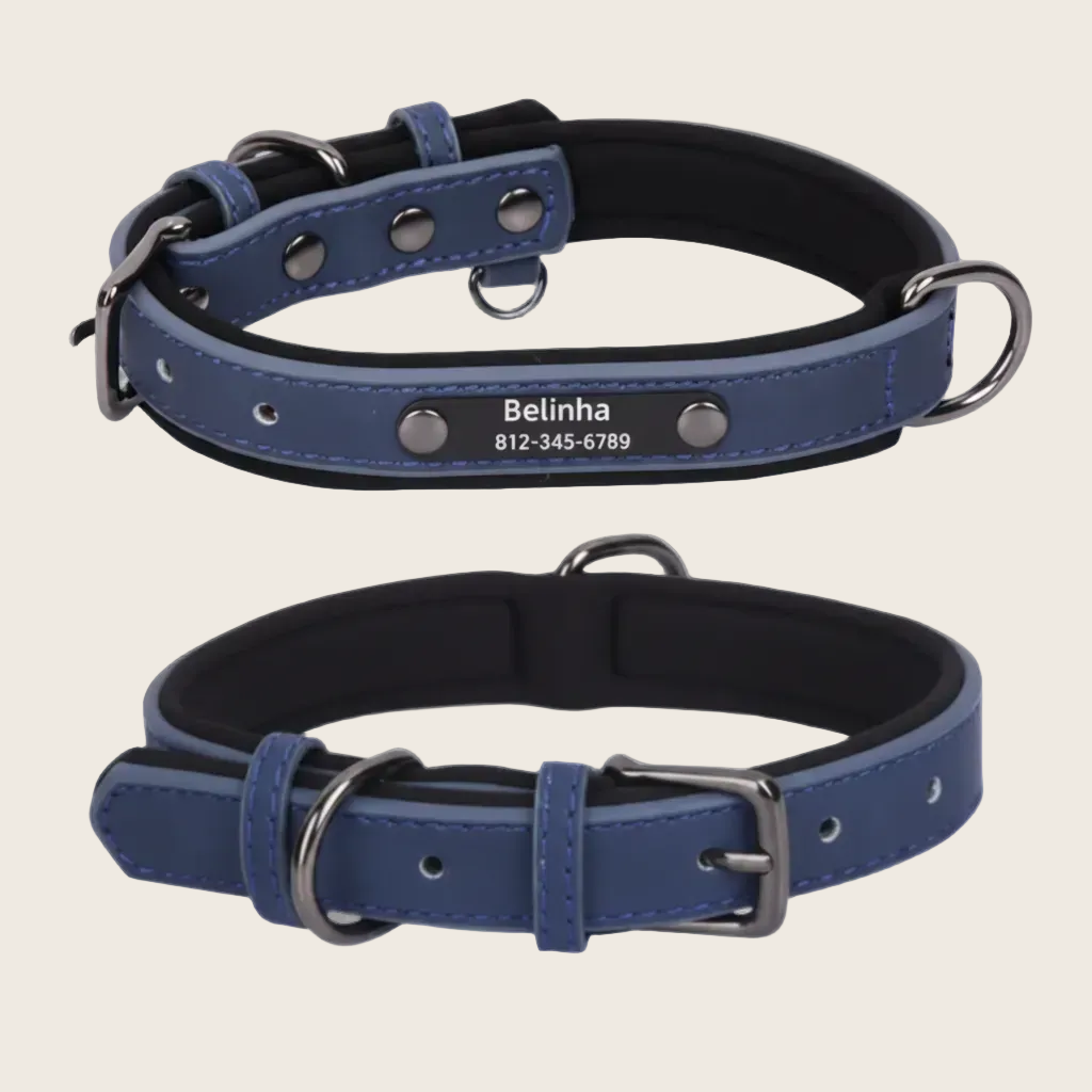 Personalised Dog Collar - Engraved Nameplate