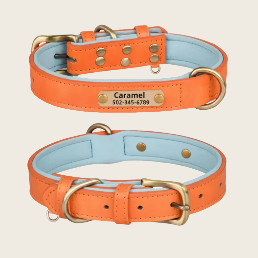Personalised Dog Collar - Engraved Nameplate