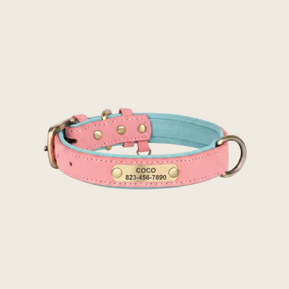 Personalised Dog Collar - Engraved Nameplate