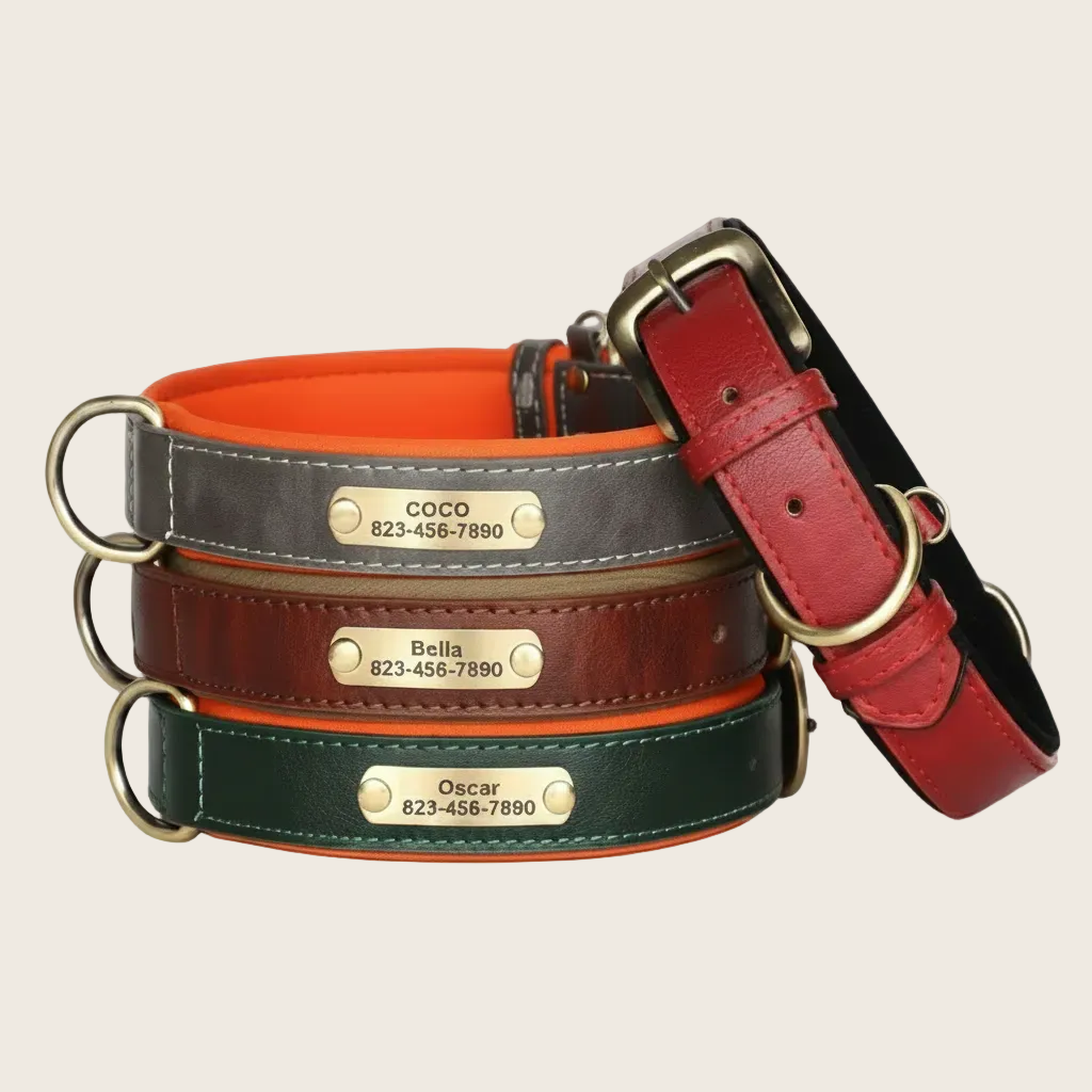 Personalised Dog Collar - Engraved Nameplate
